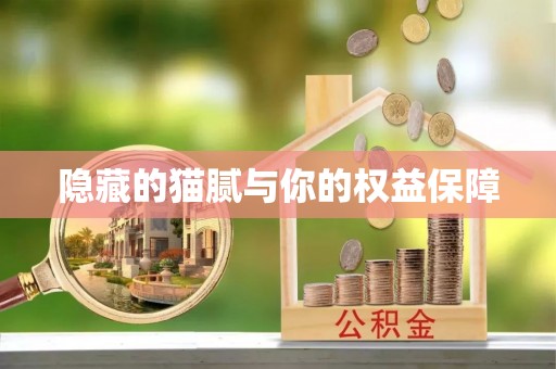 平鲁隐藏的猫腻与你的权益保障