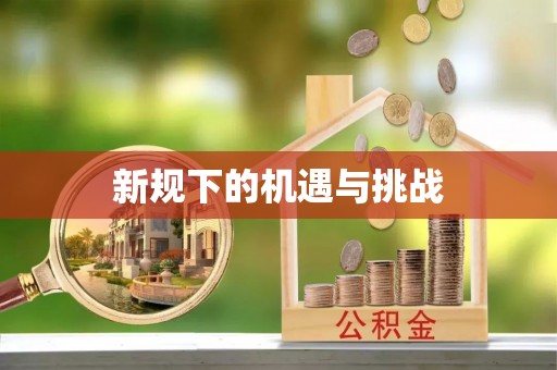 平鲁新规下的机遇与挑战
