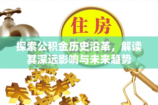 平鲁探索公积金历史沿革，解读其深远影响与未来趋势