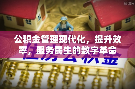 平鲁公积金管理现代化，提升效率，服务民生的数字革命