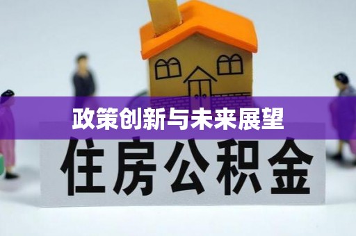 平鲁政策创新与未来展望